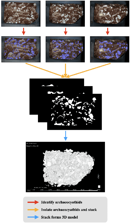 Figure 3 for Improving Fine-Grain Segmentation via Interpretable Modifications: A Case Study in Fossil Segmentation