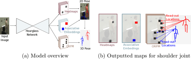 Figure 1 for Deep, robust and single shot 3D multi-person human pose estimation in complex images