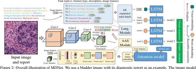 Figure 2 for MDNet: A Semantically and Visually Interpretable Medical Image Diagnosis Network