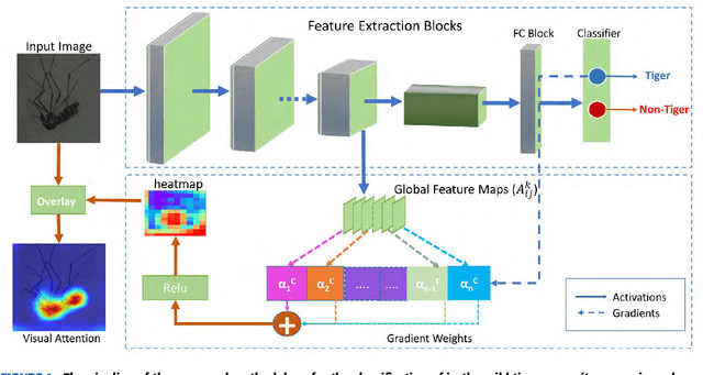 Figure 1 for A deep convolutional neural network for classification of Aedes albopictus mosquitoes