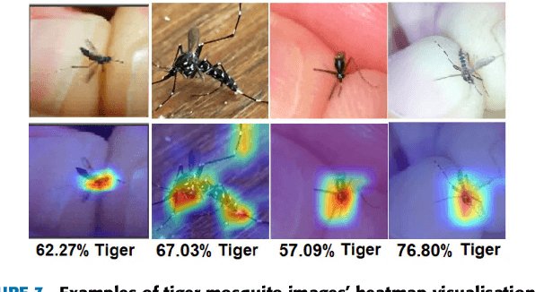 Figure 4 for A deep convolutional neural network for classification of Aedes albopictus mosquitoes