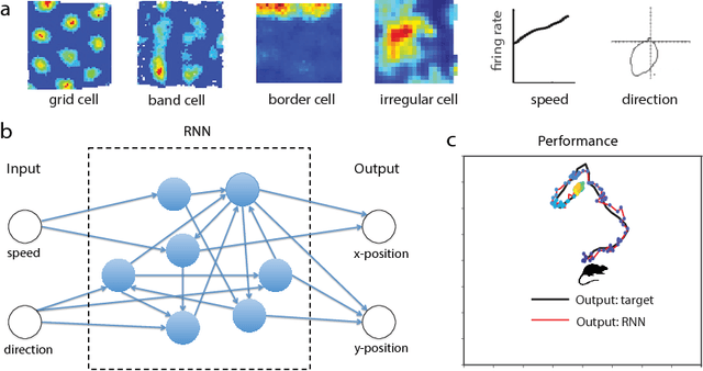 Figure 1 for Emergence of grid-like representations by training recurrent neural networks to perform spatial localization