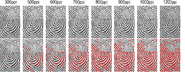 Figure 1 for Super-resolution Guided Pore Detection for Fingerprint Recognition
