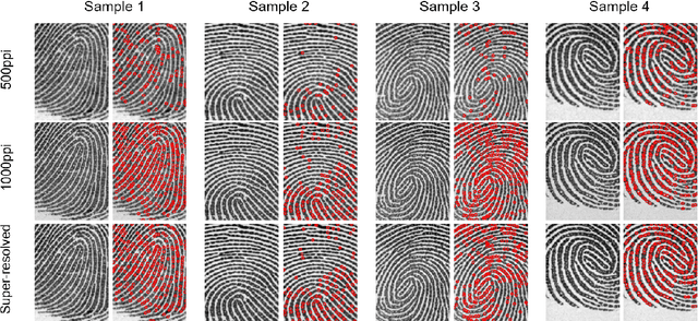 Figure 3 for Super-resolution Guided Pore Detection for Fingerprint Recognition