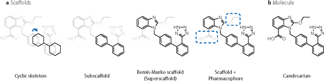 Figure 1 for DeepScaffold: a comprehensive tool for scaffold-based de novo drug discovery using deep learning