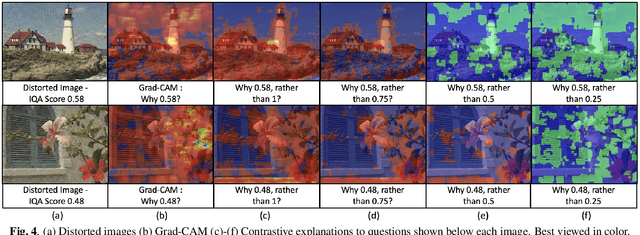 Figure 4 for Contrastive Explanations in Neural Networks