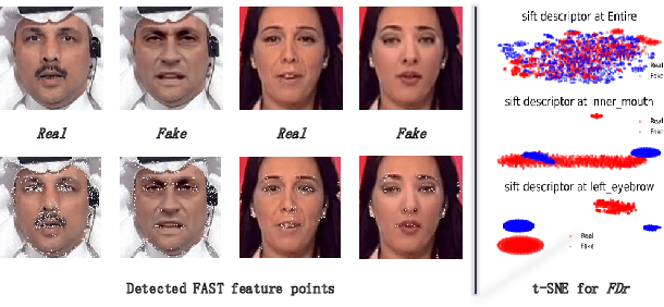 Figure 1 for FFR_FD: Effective and Fast Detection of DeepFakes Based on Feature Point Defects