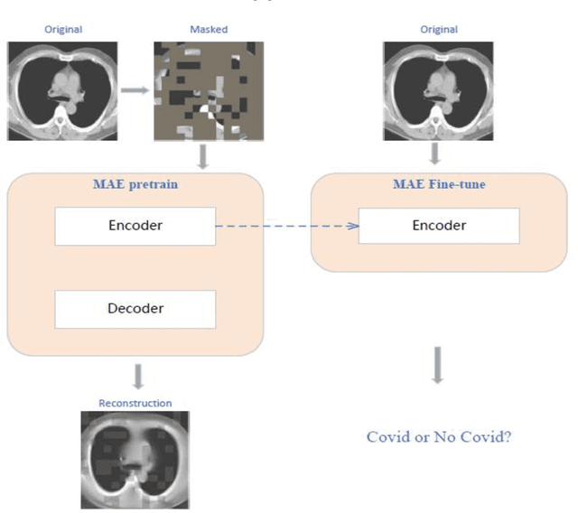 Figure 1 for Self-supervised Model Based on Masked Autoencoders Advance CT Scans Classification