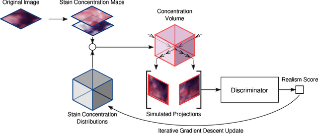 Figure 3 for Inferring a Third Spatial Dimension from 2D Histological Images