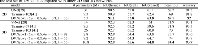 Figure 4 for DVNet: A Memory-Efficient Three-Dimensional CNN for Large-Scale Neurovascular Reconstruction