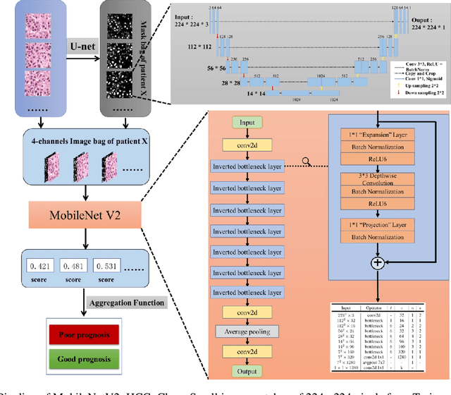 Figure 1 for Deep learning for prediction of hepatocellular carcinoma recurrence after resection or liver transplantation: a discovery and validation study
