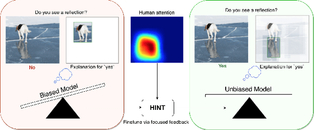 Figure 1 for Taking a HINT: Leveraging Explanations to Make Vision and Language Models More Grounded