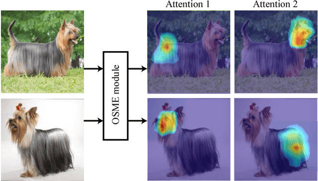 Figure 1 for Multi-Attention Multi-Class Constraint for Fine-grained Image Recognition