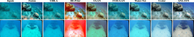 Figure 3 for Single Underwater Image Enhancement Using an Analysis-Synthesis Network