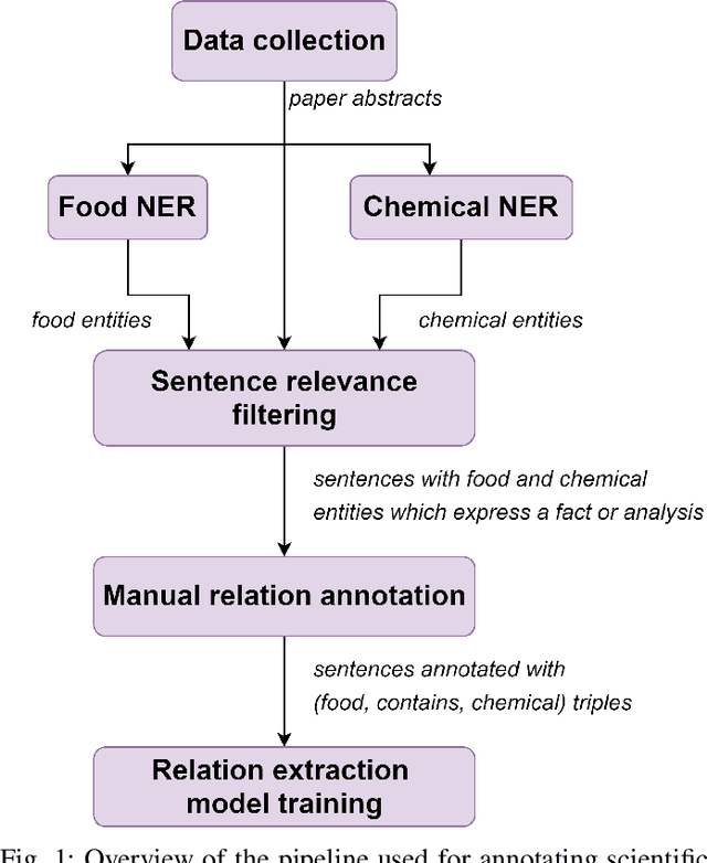 Figure 1 for FoodChem: A food-chemical relation extraction model