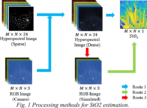 Figure 1 for Estimation of Tissue Oxygen Saturation from RGB Images based on Pixel-level Image Translation