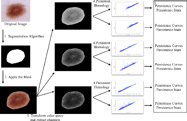 Figure 4 for TopoResNet: A hybrid deep learning architecture and its application to skin lesion classification
