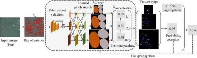 Figure 1 for Multi-patch Feature Pyramid Network for Weakly Supervised Object Detection in Optical Remote Sensing Images