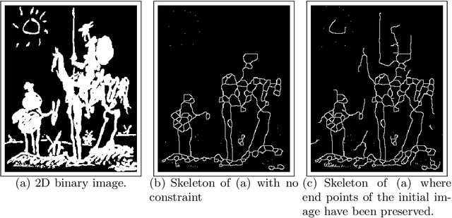 Figure 3 for Writing Reusable Digital Geometry Algorithms in a Generic Image Processing Framework