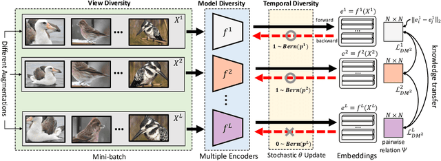 Figure 1 for Diversified Mutual Learning for Deep Metric Learning