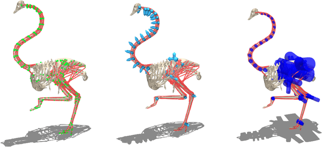 Figure 3 for OstrichRL: A Musculoskeletal Ostrich Simulation to Study Bio-mechanical Locomotion