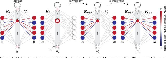 Figure 1 for Biological learning in key-value memory networks