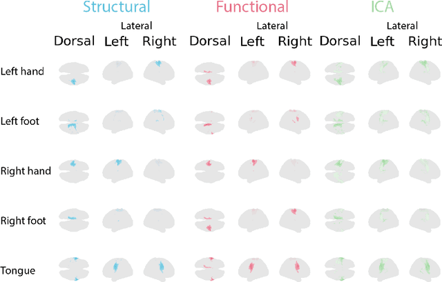 Figure 3 for Spatio-temporally separable non-linear latent factor learning: an application to somatomotor cortex fMRI data