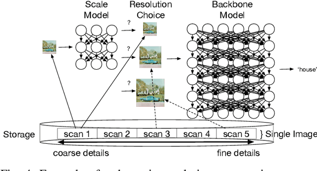 Figure 4 for Characterizing and Taming Resolution in Convolutional Neural Networks