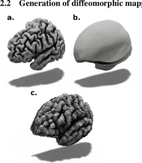 Figure 1 for CorticalFlow: A Diffeomorphic Mesh Deformation Module for Cortical Surface Reconstruction