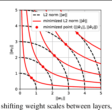 Figure 1 for Improve Generalization and Robustness of Neural Networks via Weight Scale Shifting Invariant Regularizations