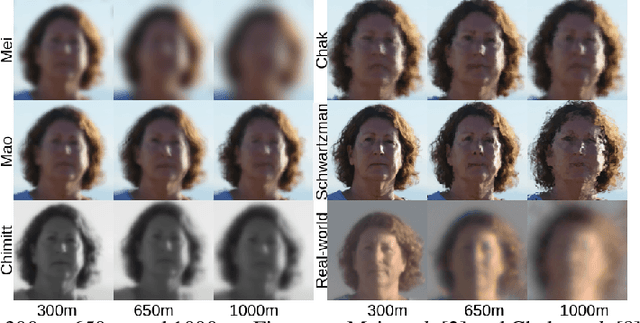 Figure 1 for A comparison of different atmospheric turbulence simulation methods for image restoration