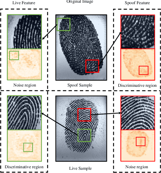 Figure 1 for Fingerprint Presentation Attack Detection by Channel-wise Feature Denoising