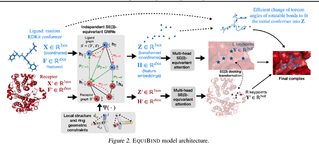 Figure 3 for EquiBind: Geometric Deep Learning for Drug Binding Structure Prediction