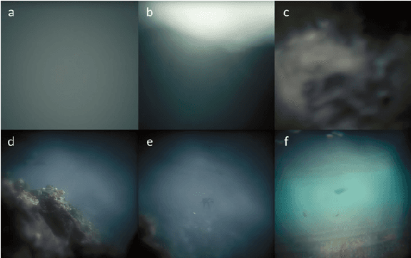 Figure 1 for Saliency Preservation in Low-Resolution Grayscale Images