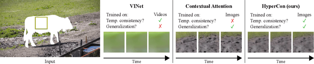 Figure 1 for HyperCon: Image-To-Video Model Transfer for Video-To-Video Translation Tasks