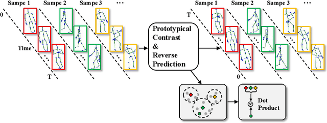 Figure 1 for Prototypical Contrast and Reverse Prediction: Unsupervised Skeleton Based Action Recognition