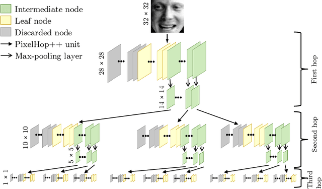 Figure 1 for Successive Subspace Learning: An Overview
