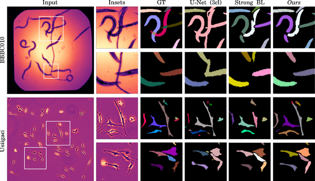 Figure 1 for Embedding-based Instance Segmentation of Microscopy Images