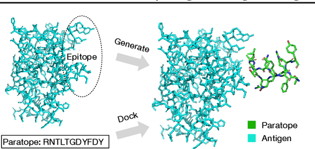 Figure 3 for Antibody-Antigen Docking and Design via Hierarchical Equivariant Refinement