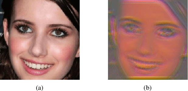 Figure 1 for Learning to Amend Facial Expression Representation via De-albino and Affinity