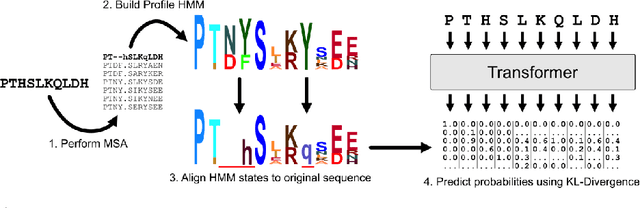 Figure 1 for Profile Prediction: An Alignment-Based Pre-Training Task for Protein Sequence Models