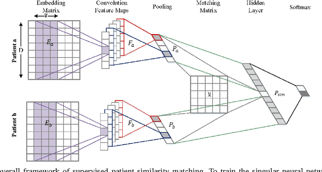 Figure 1 for Measuring Patient Similarities via a Deep Architecture with Medical Concept Embedding