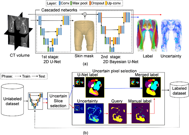 Figure 1 for Automated Muscle Segmentation from Clinical CT using Bayesian U-Net for Personalization of a Musculoskeletal Model