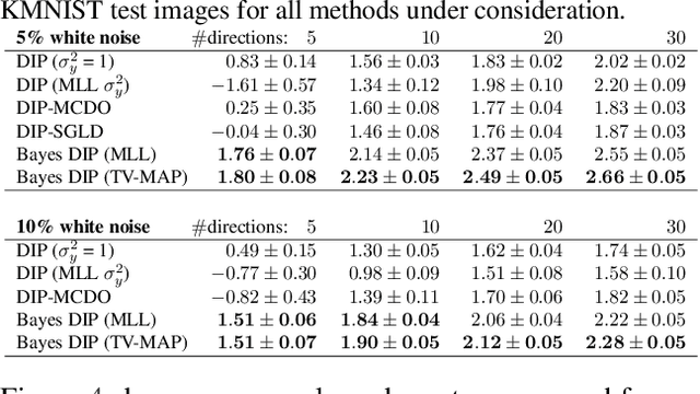 Figure 2 for A Probabilistic Deep Image Prior for Computational Tomography