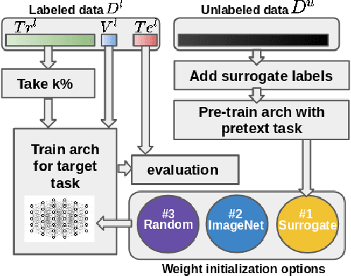 Figure 3 for Surrogate Supervision for Medical Image Analysis: Effective Deep Learning From Limited Quantities of Labeled Data