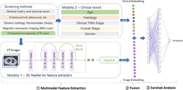 Figure 1 for DeepMMSA: A Novel Multimodal Deep Learning Method for Non-small Cell Lung Cancer Survival Analysis