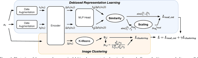 Figure 1 for Joint Debiased Representation and Image Clustering Learning with Self-Supervision