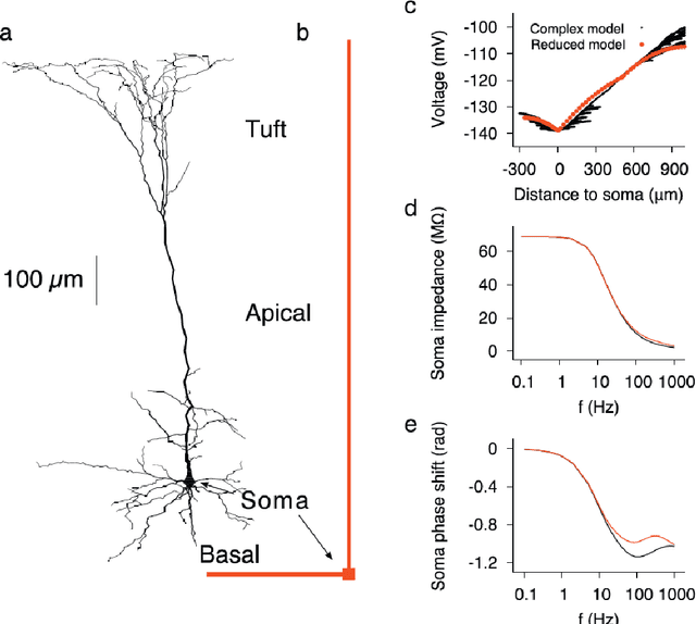 Figure 2 for BioSpaun: A large-scale behaving brain model with complex neurons