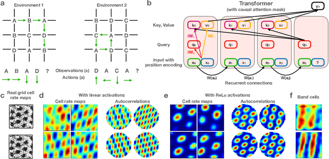 Figure 1 for Relating transformers to models and neural representations of the hippocampal formation