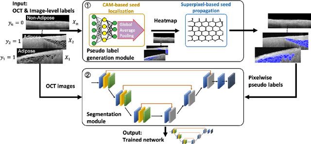 Figure 3 for Cardiac Adipose Tissue Segmentation via Image-Level Annotations